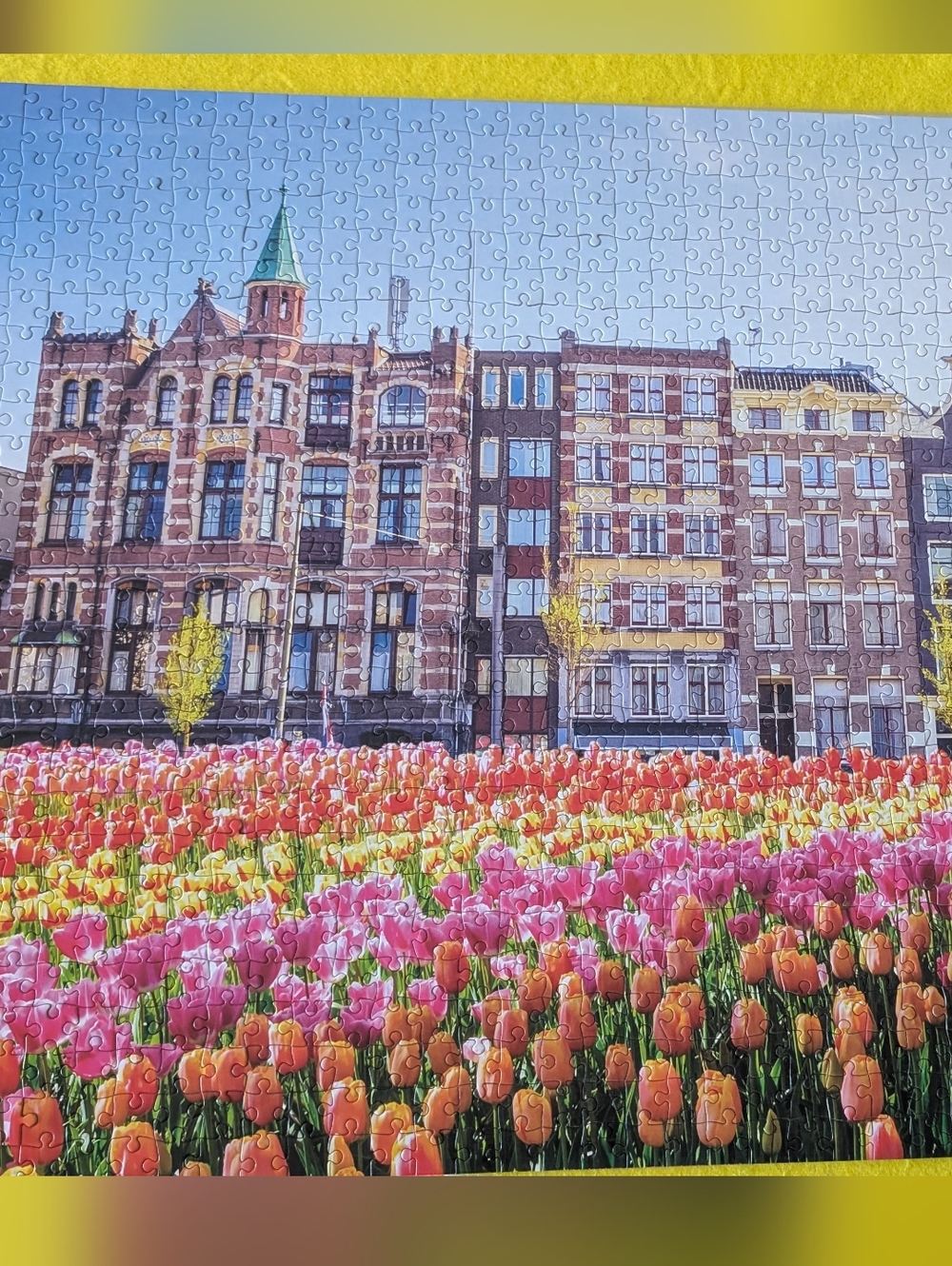 1000 Piece Mindboggler Puzzle